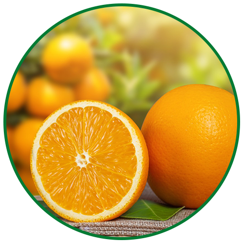 icons.oranges